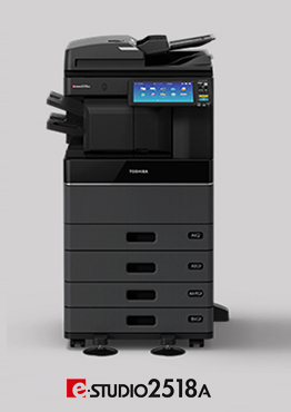 TOSHIBA- ES 2010
